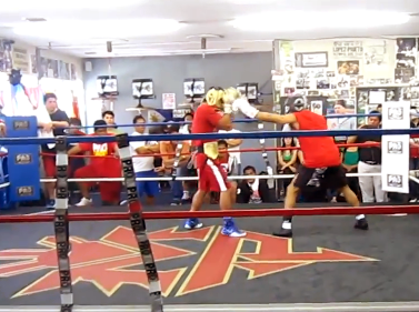 Sparring